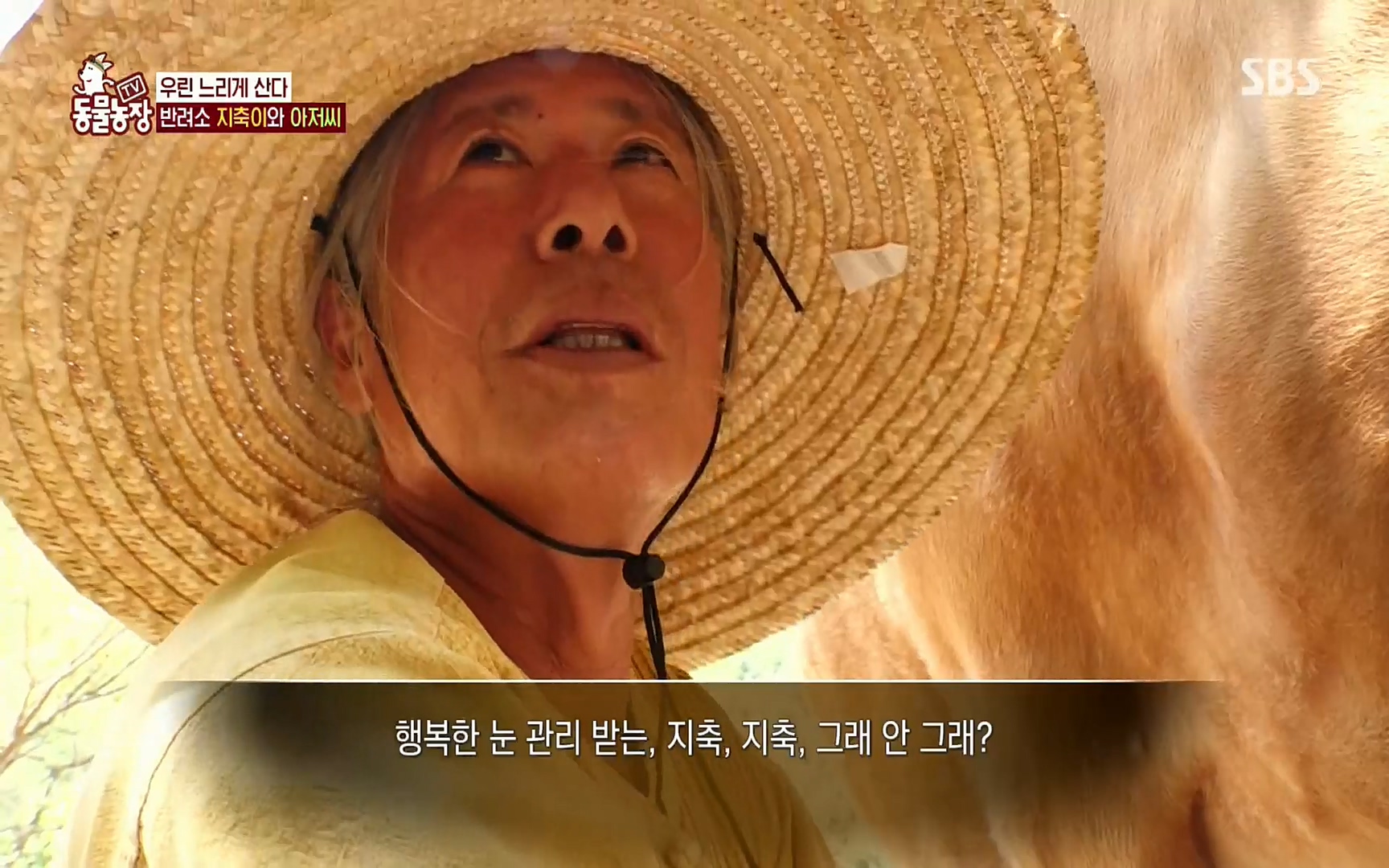 TV 동물농장.E1074.220619p.H264-F1RST.mp4_20220619_181250.805.jpg