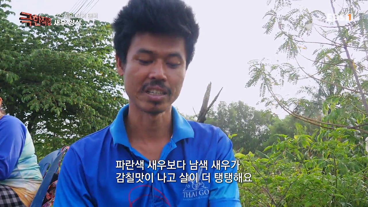TV - 전 국민의 평생학교 EBS수산물의 천국 태국, 새우 양식과 말린 생선.mp4_20240604_200752.882.jpg