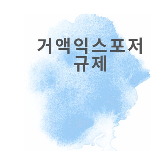  거액익스포저 규제
