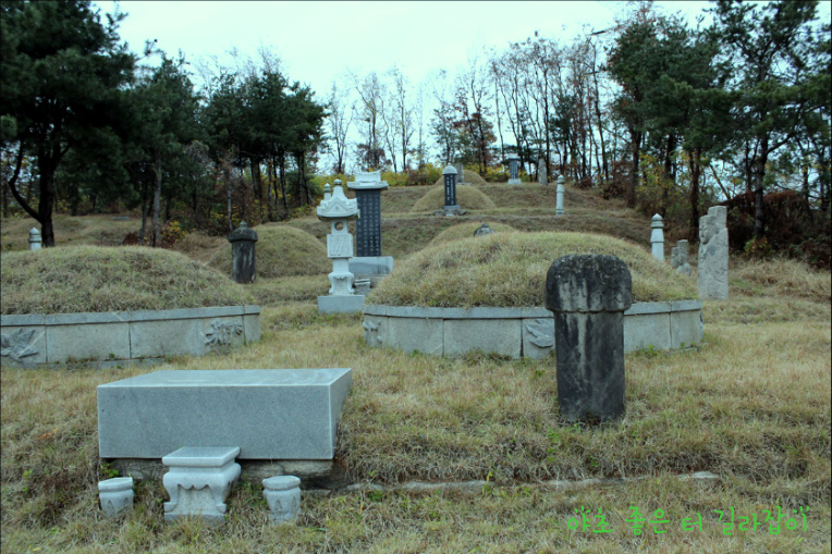 김당 이미지