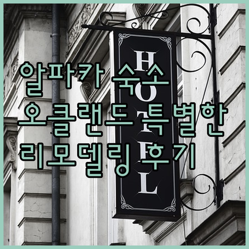 알파카 매너.. 오클랜드에서 만나는 