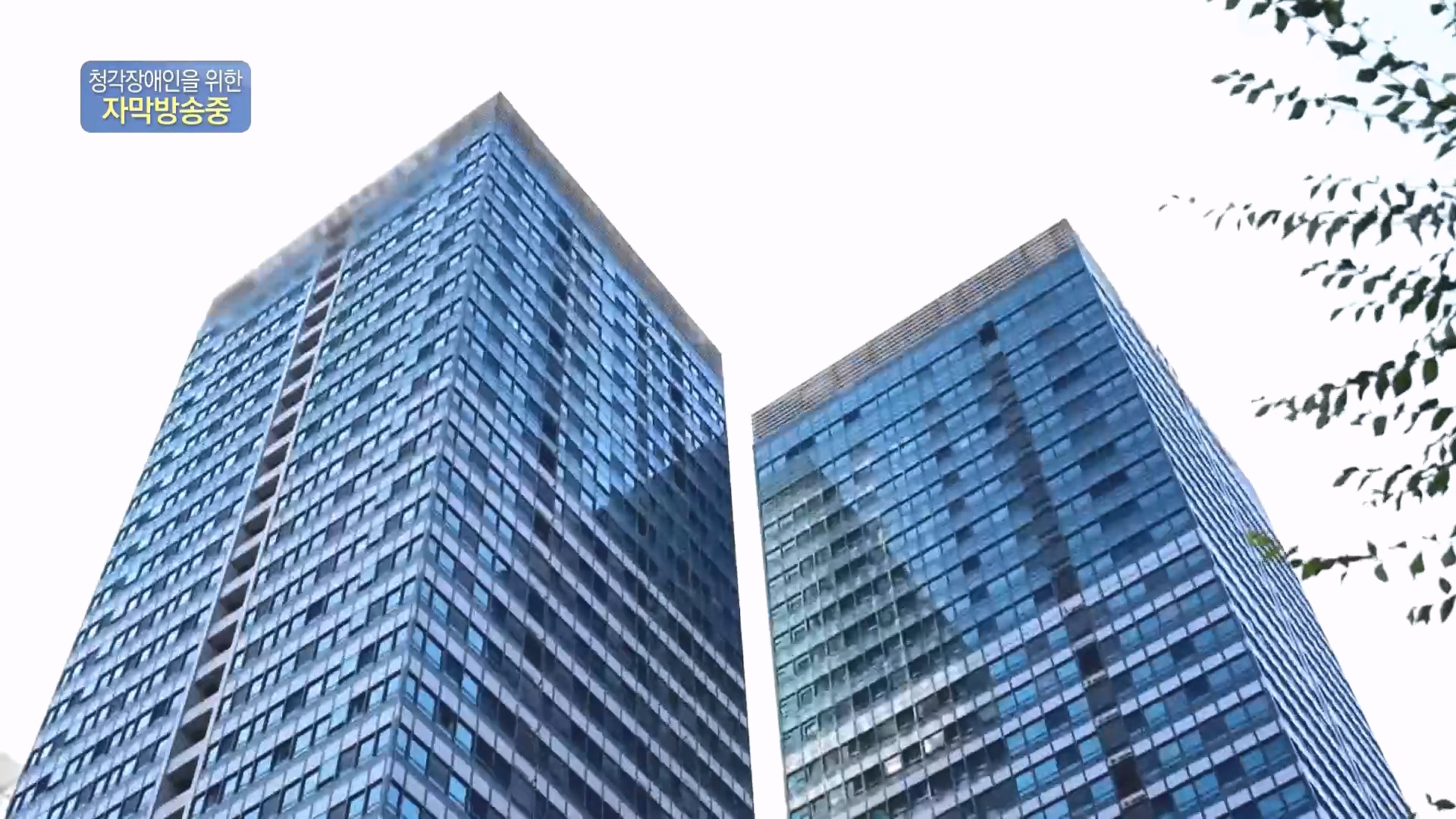 다큐 On.E232.231216p.H264-F1RST.mp4_20231220_212224.535.jpg