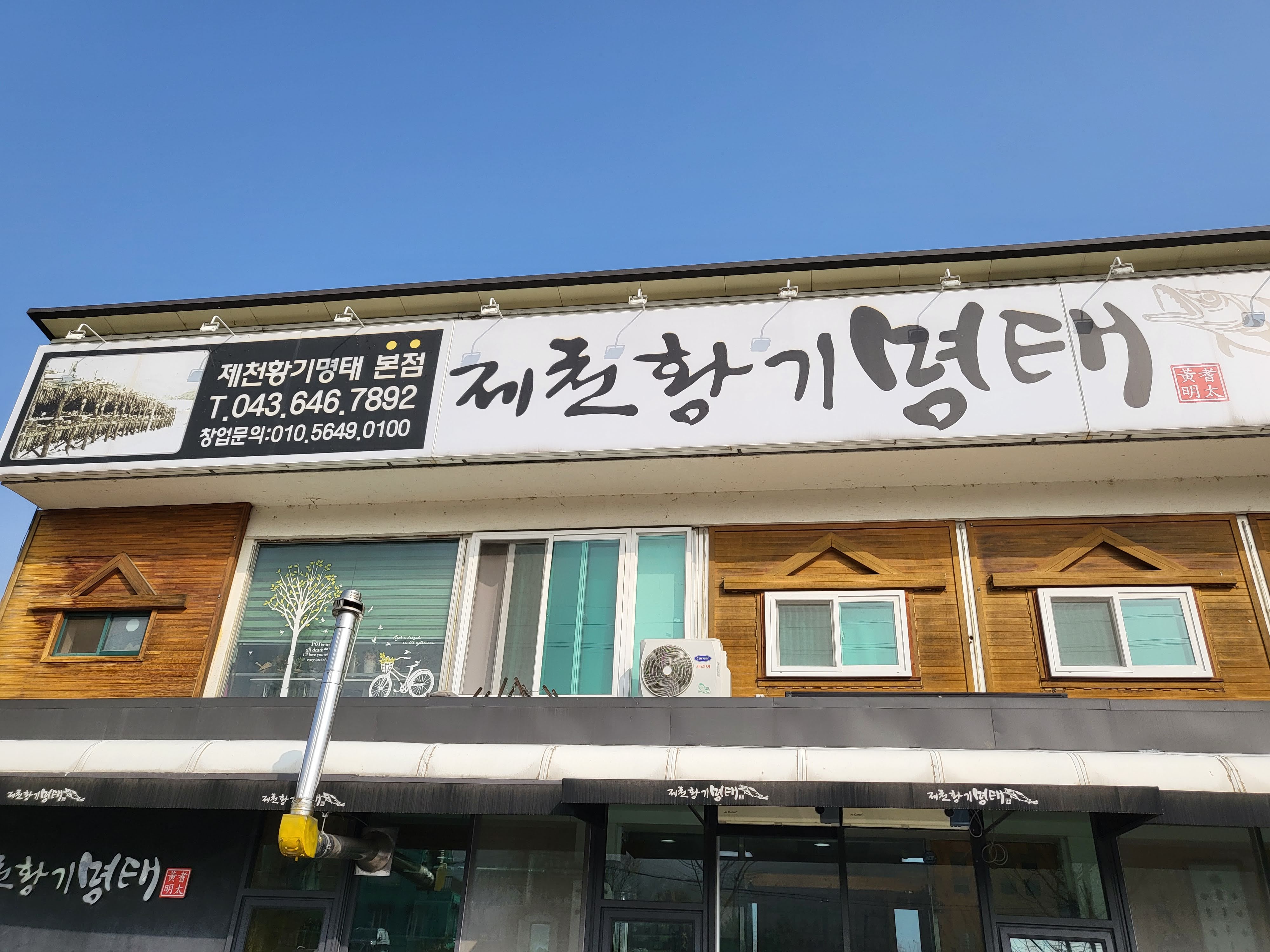 제천황기명태 이미지