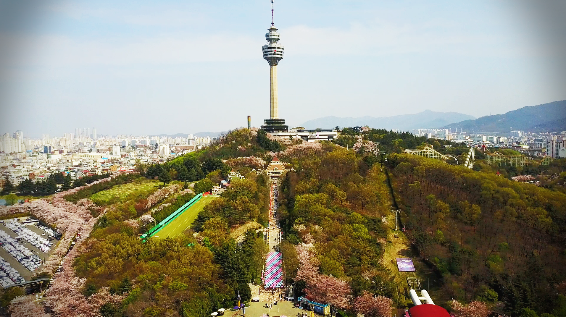 벚꽃 개화 시기 ,내 맘대로 Top 5 명소 4