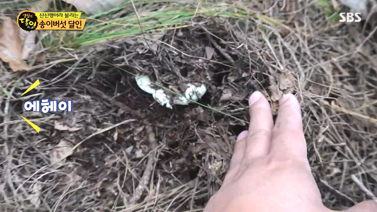 생활의 달인.E907.231010p-NEXT.mp4_20231010_202835.836.jpg