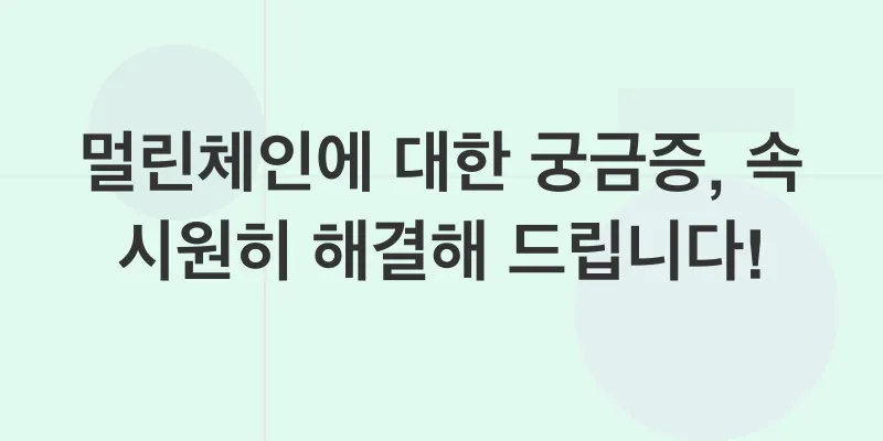 멀린체인 생태계_4