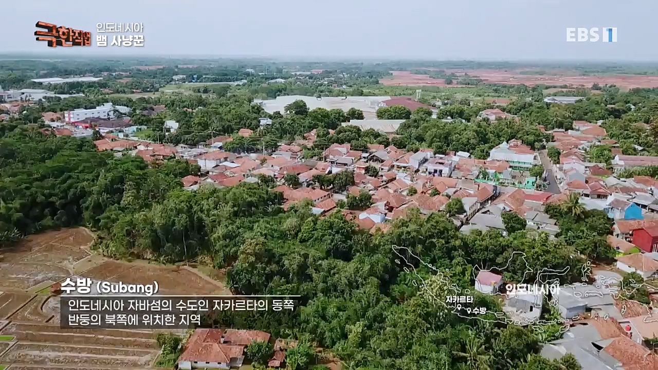 TV - 교육의 중심 EBS인도네시아 뱀사냥꾼.mp4_20221211_181450.835.jpg