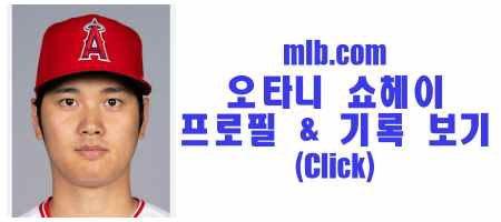 오타니 프로필 기록