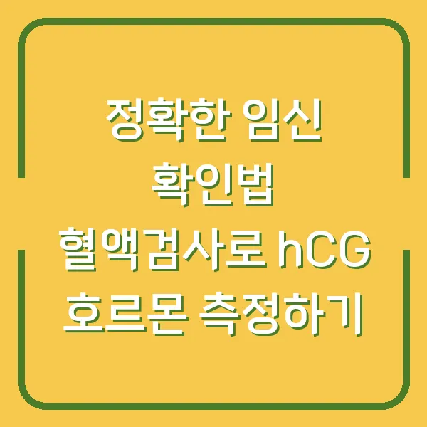 정확한 임신 확인법 혈액검사로 hCG 호르몬 측정하기