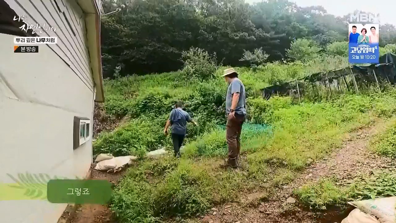 나는 자연인이다.E571.230914p-NEXT.mp4_20230914_202149.764.jpg