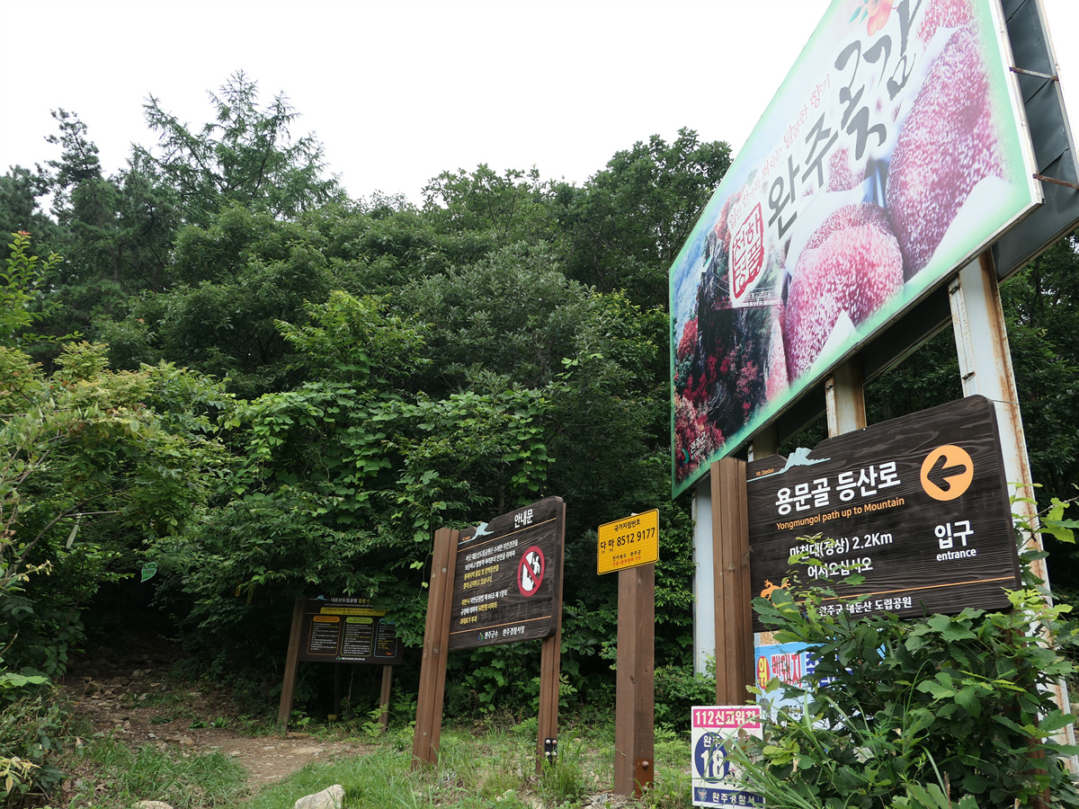 용아 이미지