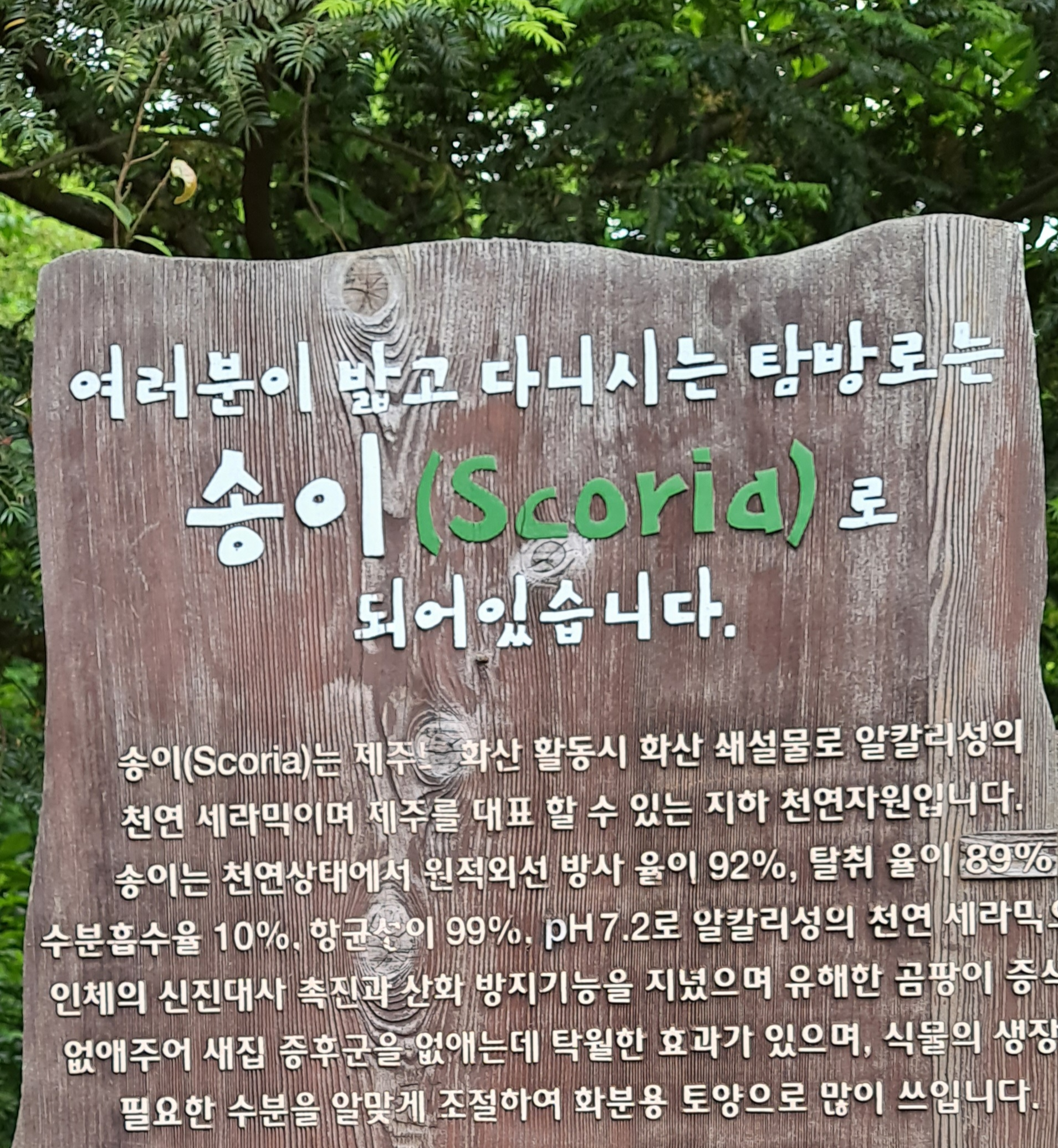 화산송이가 우리 몸에 좋은 이유