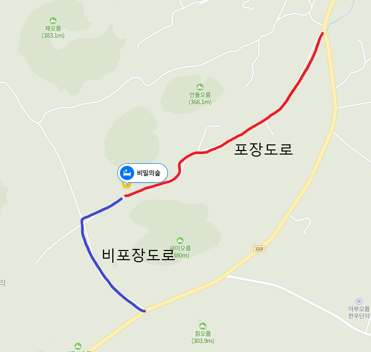  제주 안돌오름 비밀의 숲!!(라이징 인스타 핫플!!)