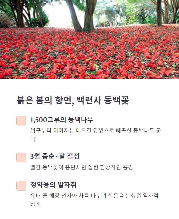 힐링진 이미지