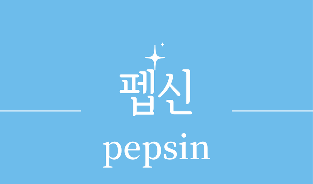 &#39;펩신(pepsin)&#39;