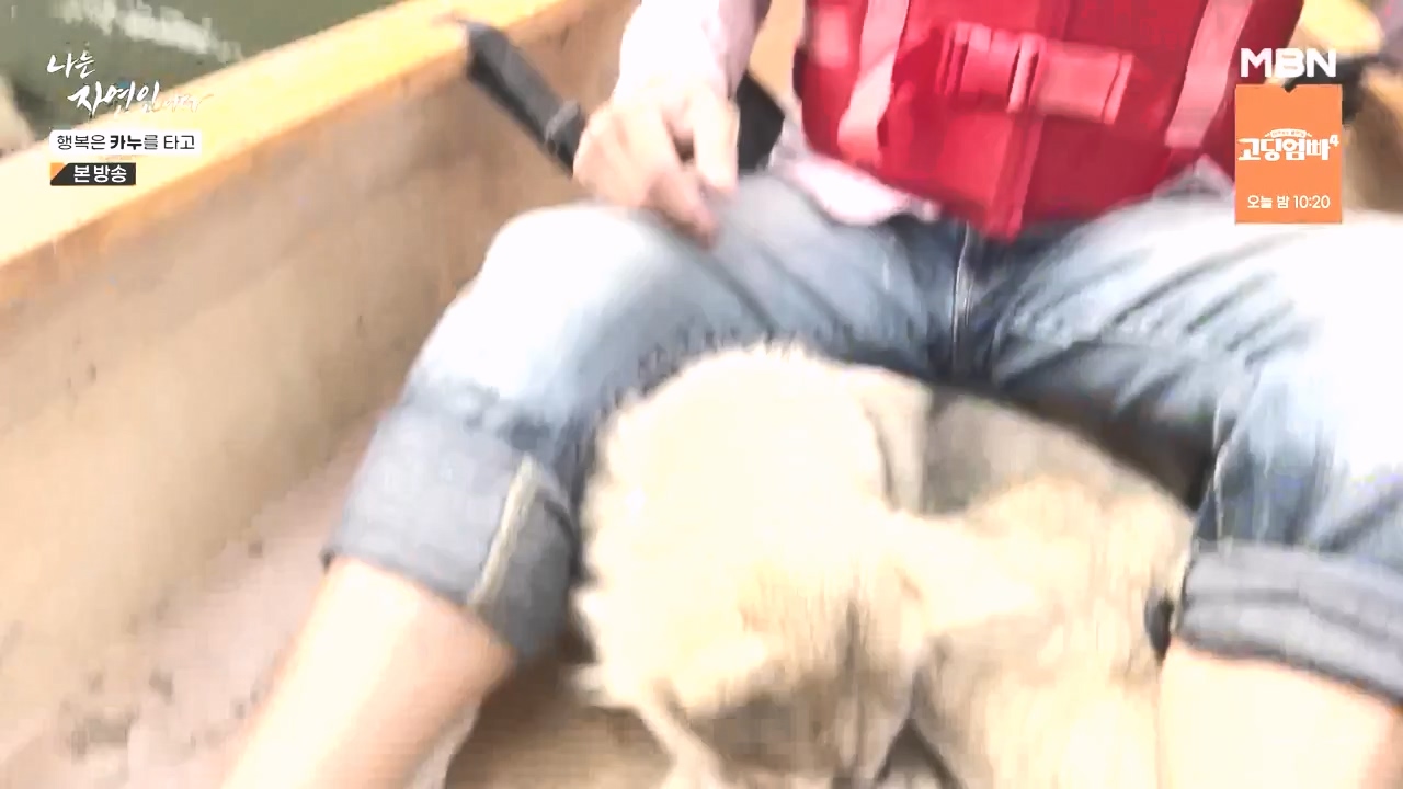 나는 자연인이다.E576.231019p-NEXT.mp4_20231019_201408.260.jpg