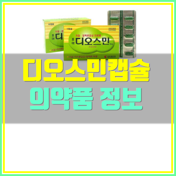  디오스민 치질약 복용법 부작용