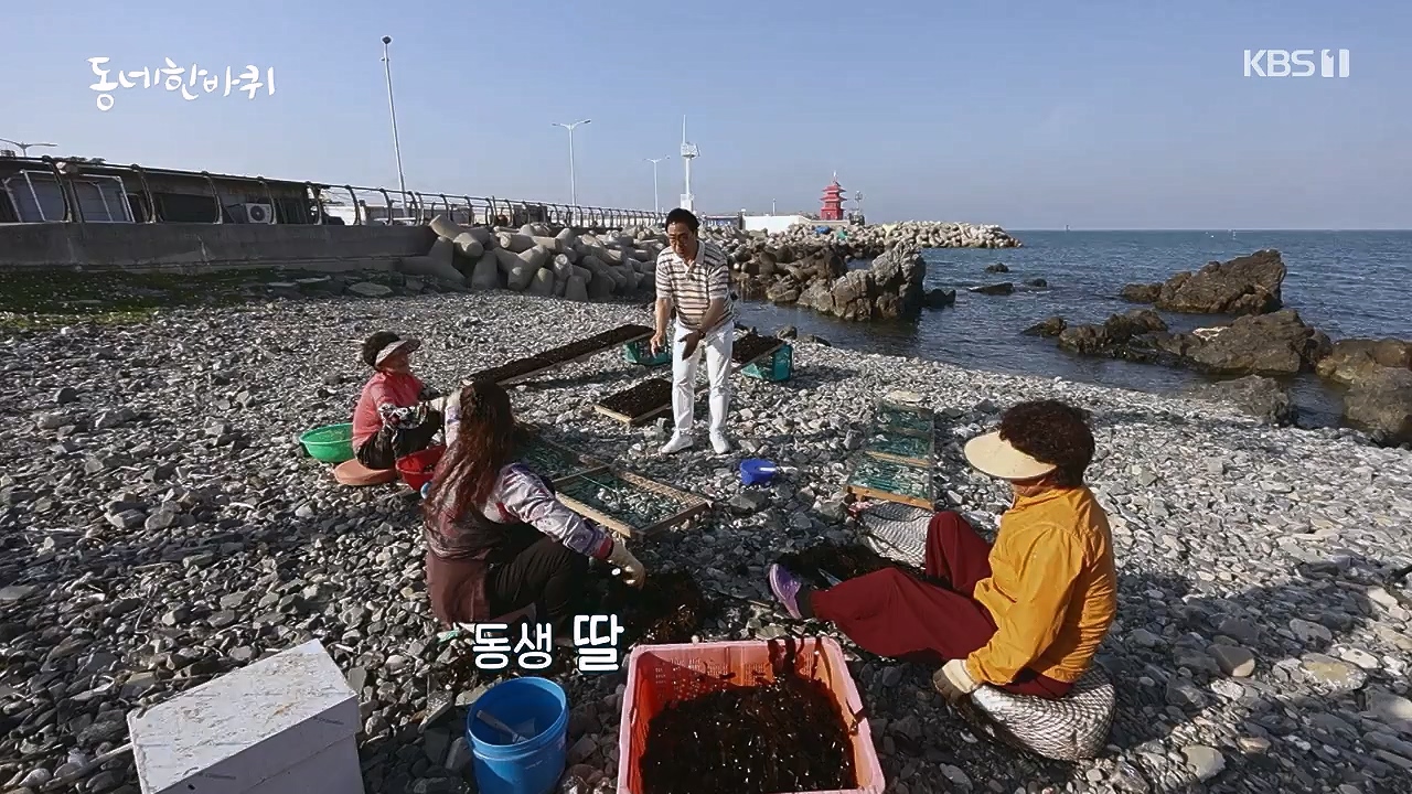 동네 한 바퀴.E278.240616p-NEXT.mp4_20240616_164330.657.jpg