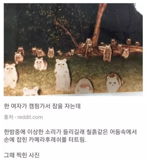  한 여자가 캠핑가서 잠을 자는데