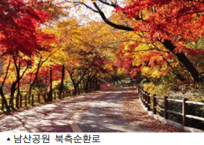 서울 단풍길 사진 명소