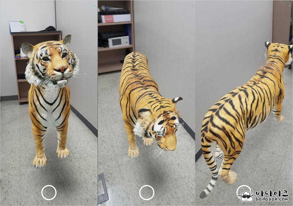 구글 AR 증강현실 동물 입체 보기