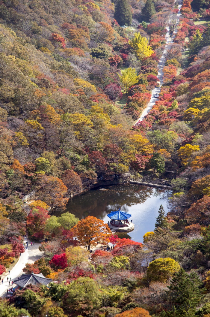 내장산