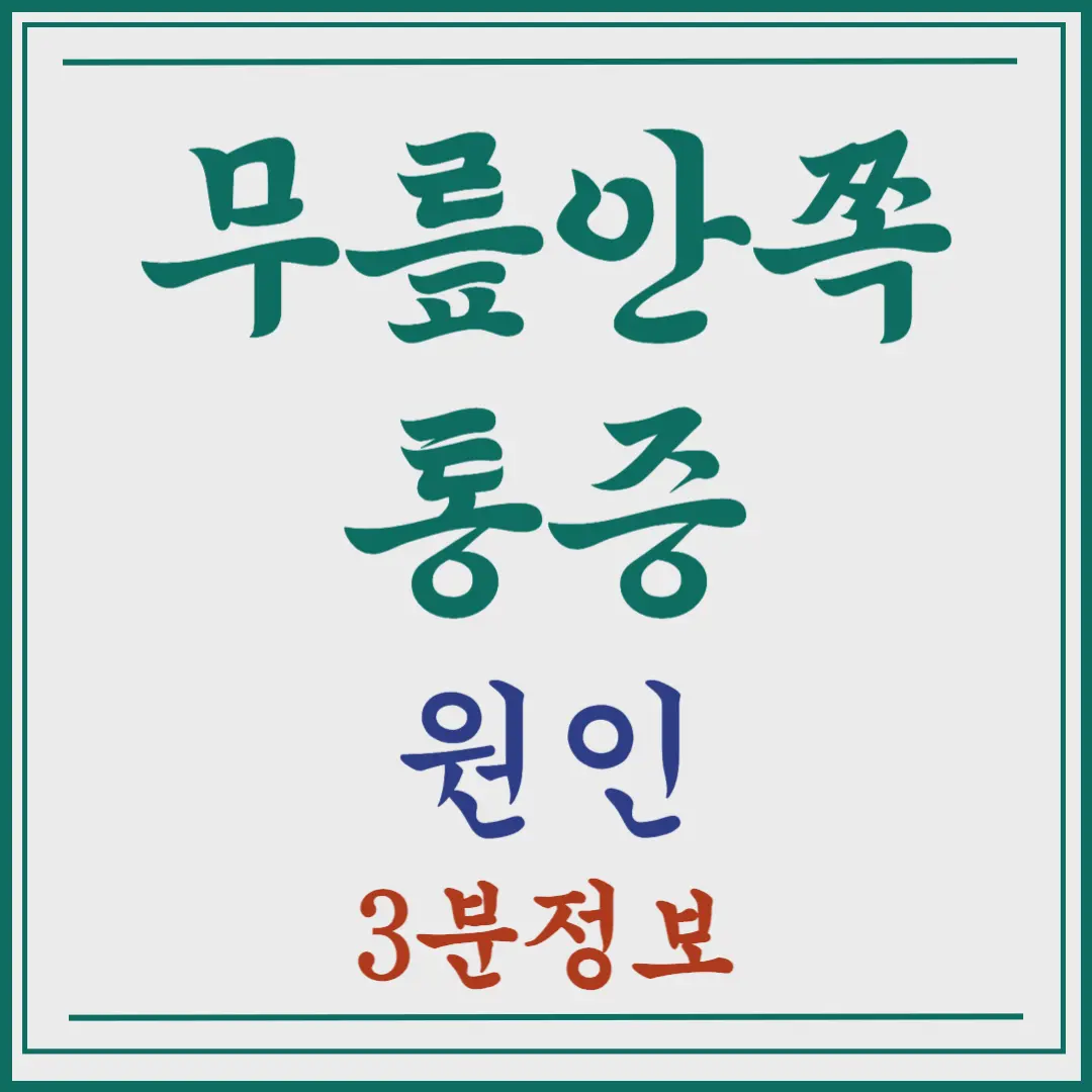 무릎안쪽통증 원인 3분정리