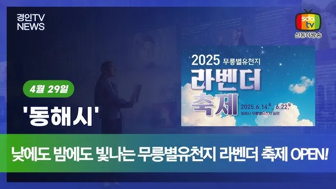 강원도 무릉별유천지 라벤더 축제 일정 입장료 총정리_5