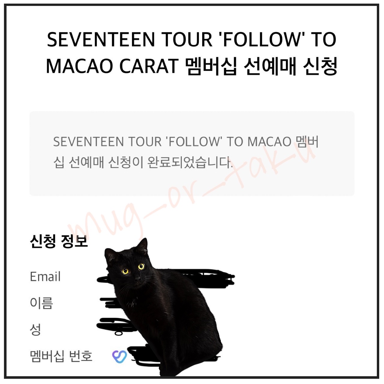  세븐틴 마카오 콘서트 티켓팅 도전기 - FOLLOW 투어 캐럿 멤버십 선예매/ Cityline/ Live Nation 사전 등록 방법
