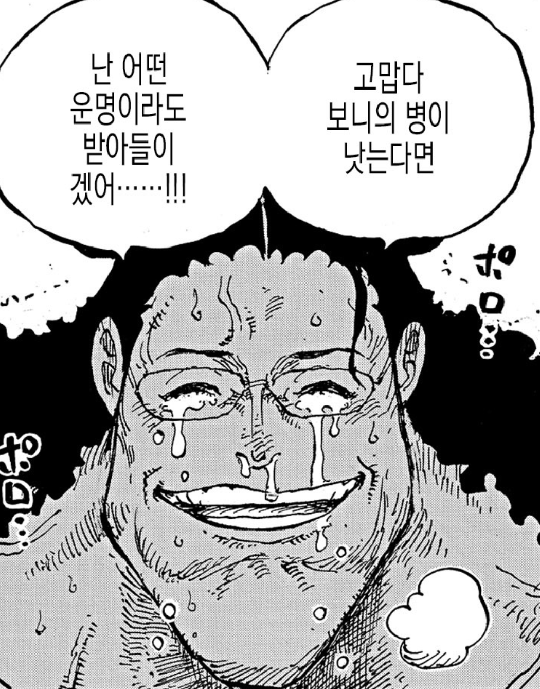  ONE PIECE 1100 