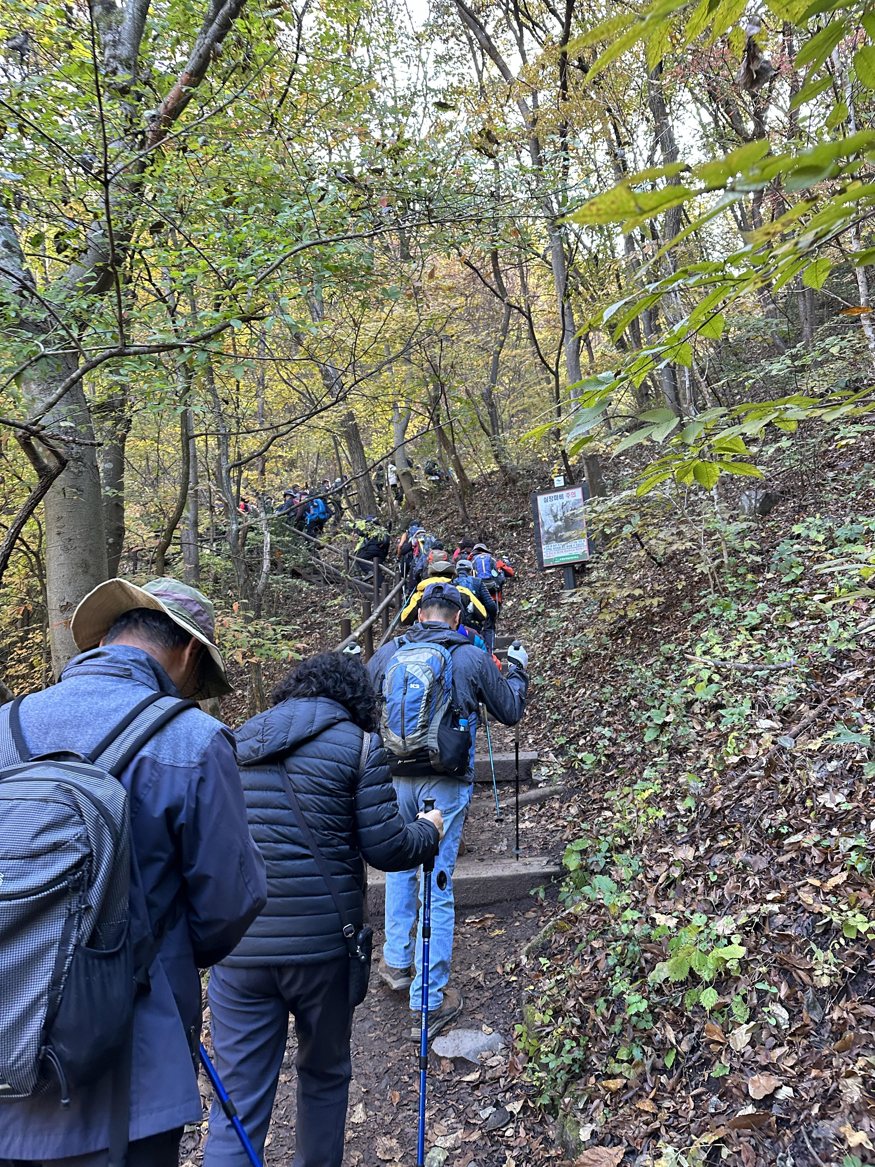 주왕산 등산코스 가을산행 단풍산행