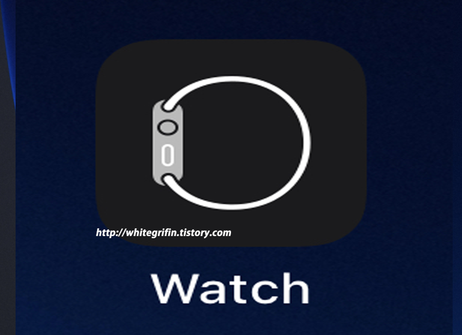 아이폰 바탕화면의 Watch 앱 사진