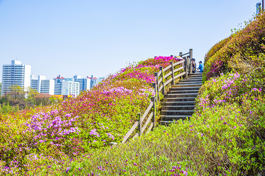 군포철죽동산