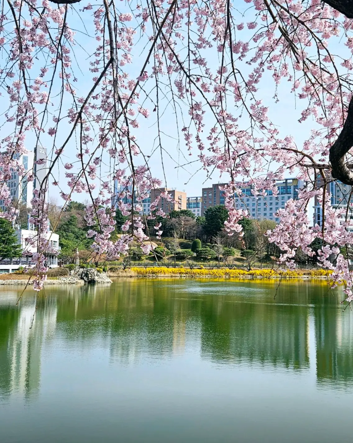 사진43