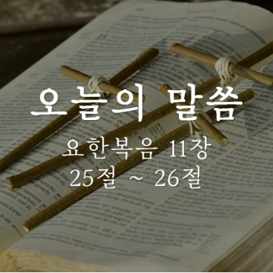 요한복음 11장 25절 ~ 26절 / 예수를 믿는다는 것 / 오늘의 말씀