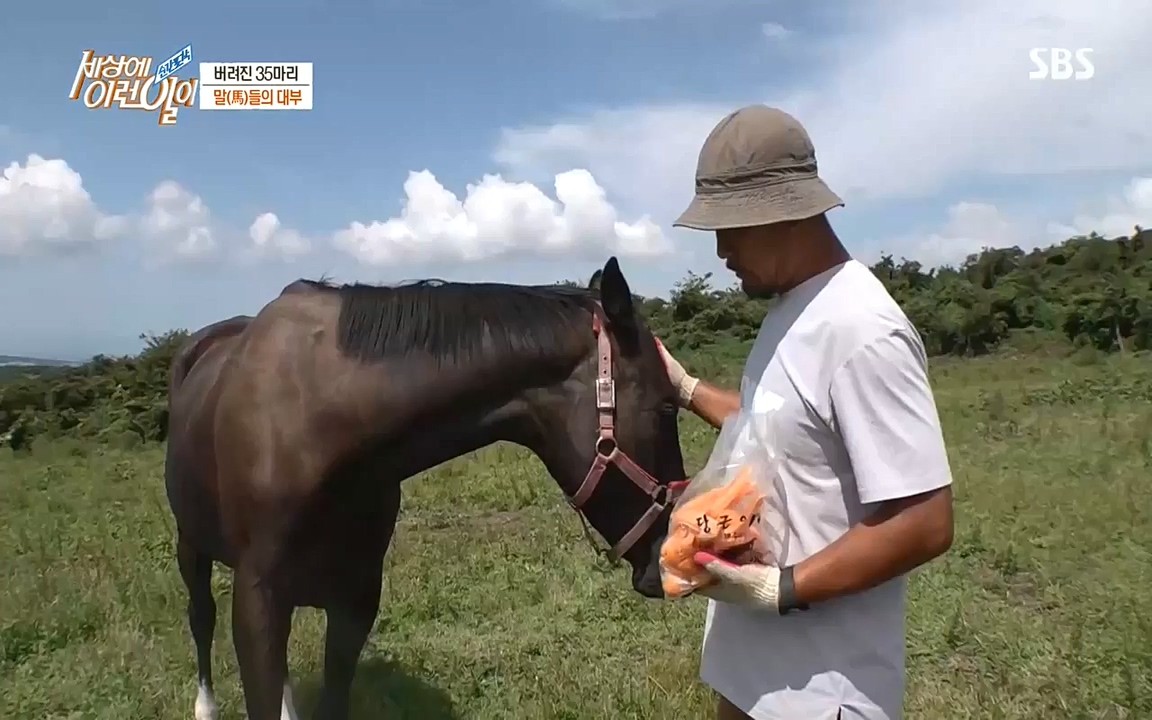 순간포착 세상에 이런일이.E1198.220920.H265p-BULDU.mp4_20220921_201957.637.jpg
