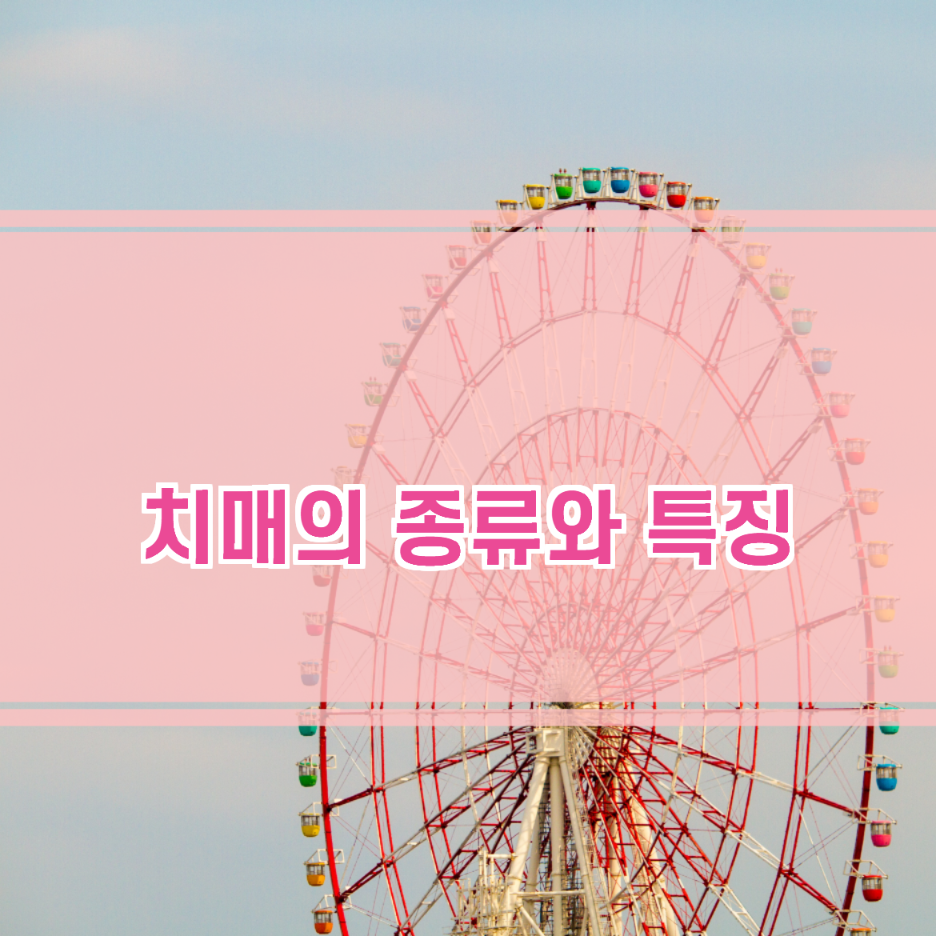  치매의 종류와 특징