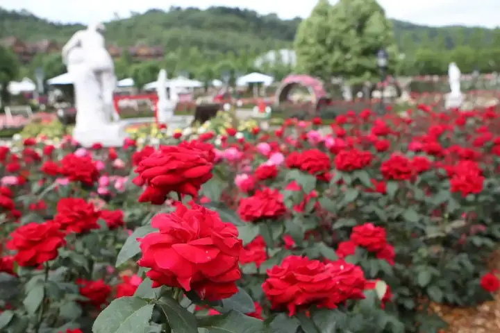  2022년 6월 경기 경기도 축제 총 정리 (1) - 경기 경기도에서 열리는 축제의 기간, 시간, 장소, 요금은?