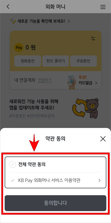 KB Pay 외화머니 서비스 이용약관에 동의