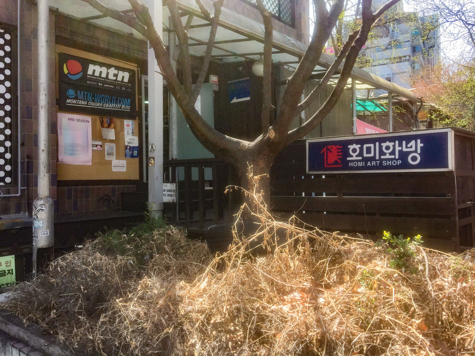  홍대 호미화방 방문기 (+내돈내산 후기)