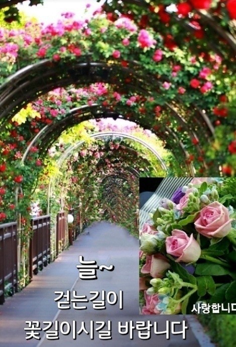  오늘의 좋은글 275번째 감사할 줄 알아야 부정적인 사고를 차단하고 새롭게 창의성을 만들어줍니다.