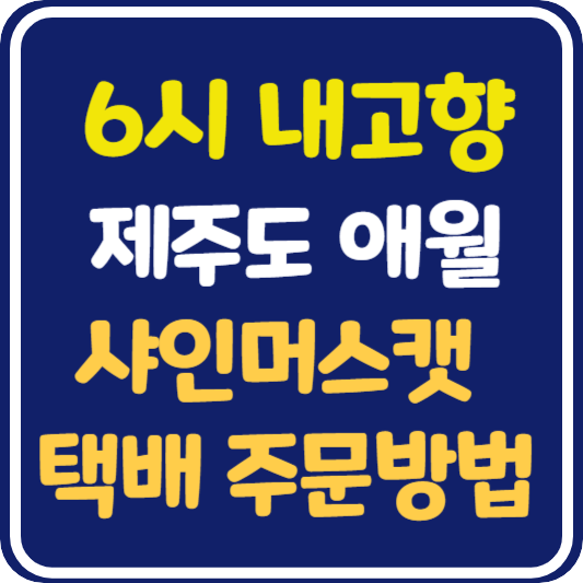 6시 내고향 제주 애월 샤인머스캣 주문 방법