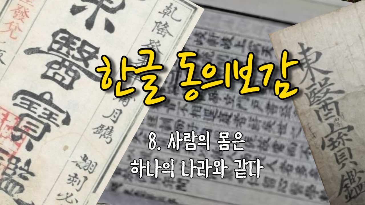  8. 사람의 몸은 하나의 나라와 같다 ( 내경편 신형 )
