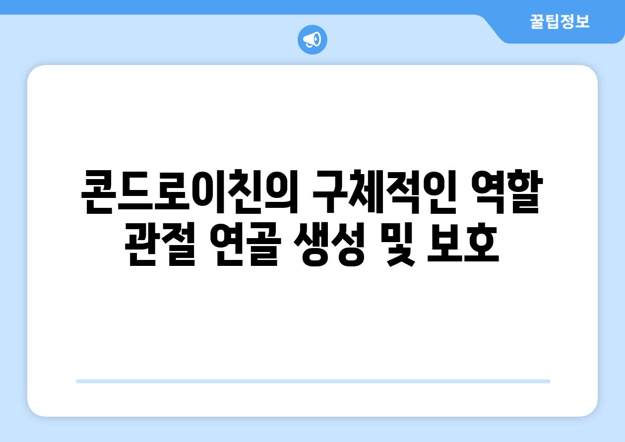 콘드로이친의 구체적인 역할 관절 연골 생성 및 보호