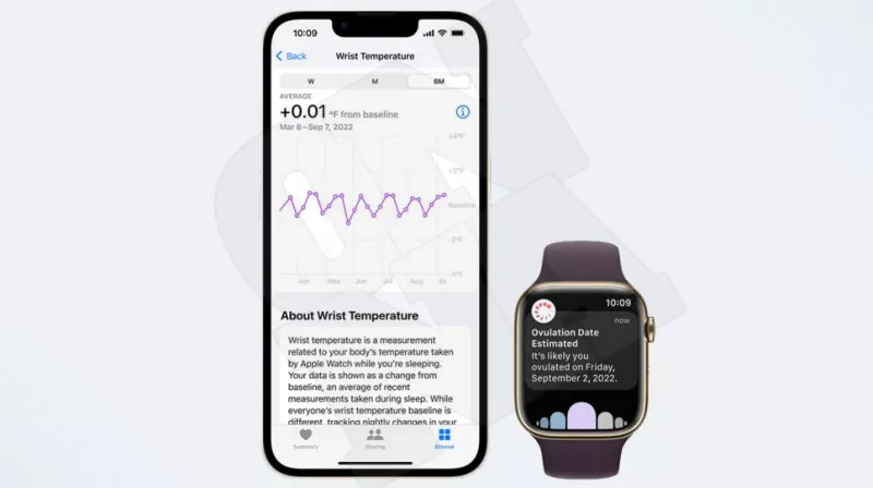 Apple Watch 8 온도 센서.생리주기를 확인하세요