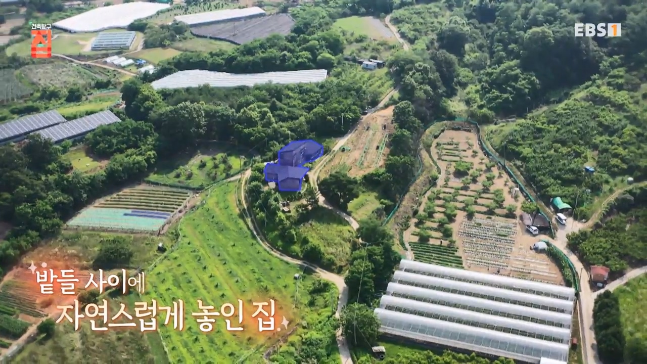 TV - 전 국민의 평생학교 EBS너튜브 3년 보면 집을 짓는다-.mp4_20230818_213115.834.jpg