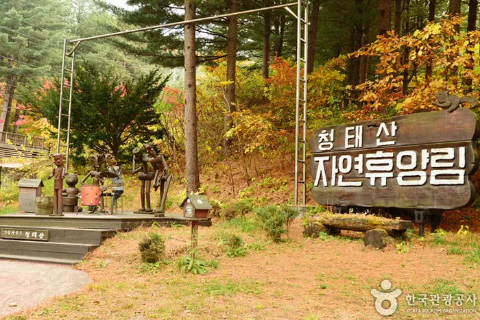 국립 청태산 자연휴양림 전경 이미지