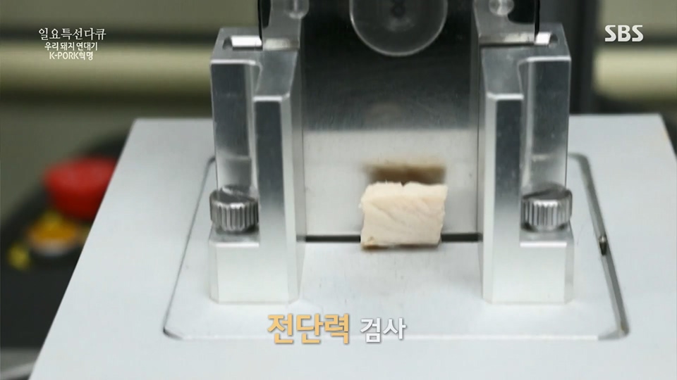 일요 특선 다큐멘터리.E315.230716p.H264-F1RST.mp4_20230717_210619.237.jpg