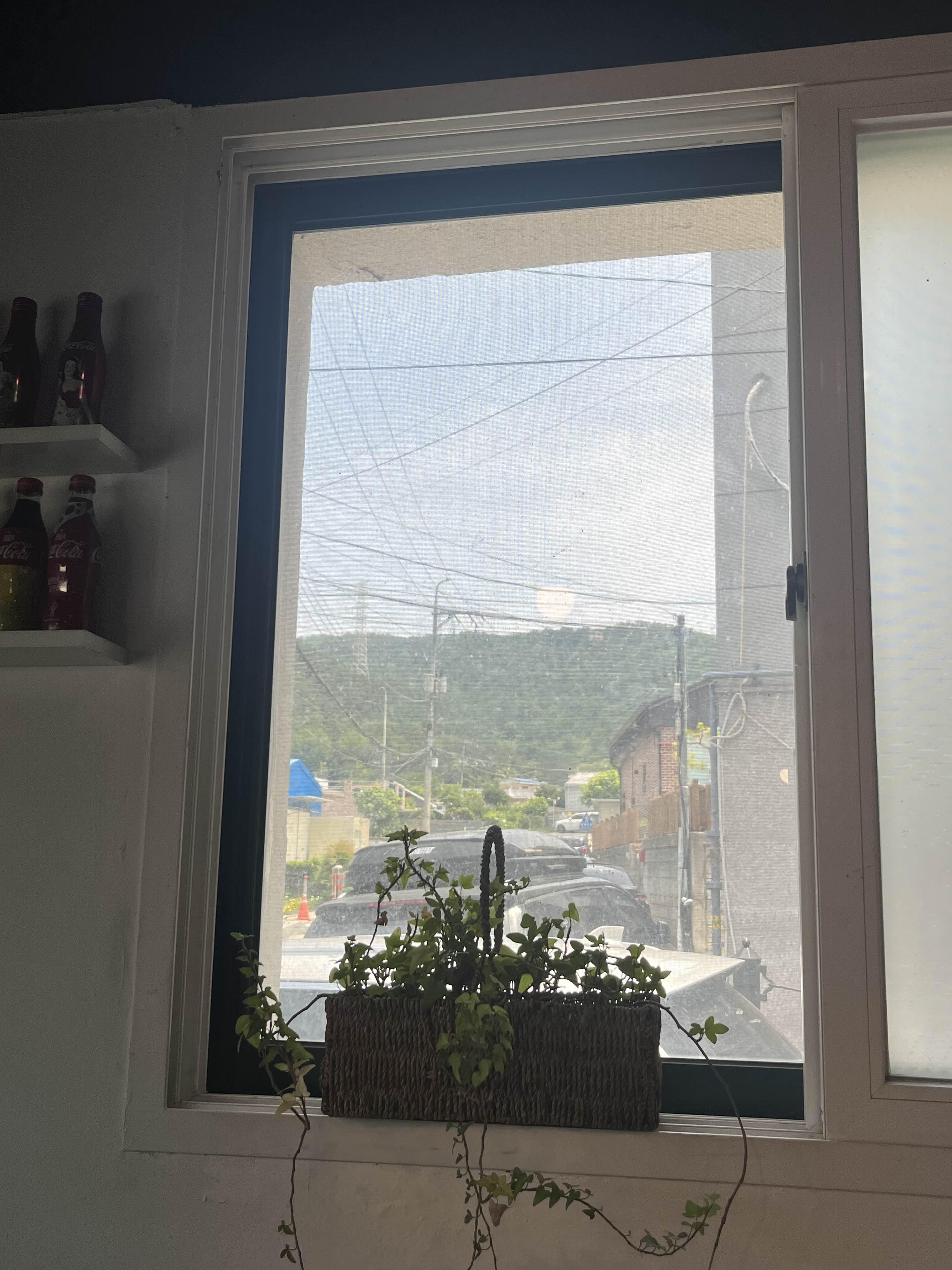안평식당 사진 3