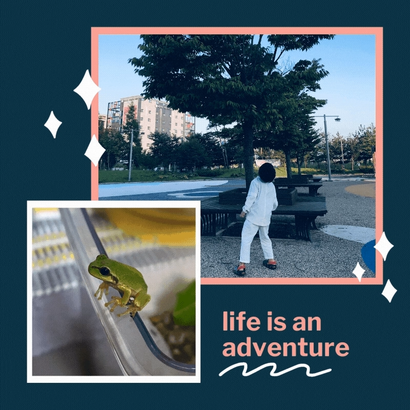 청개구리, 청개구리를 만나다